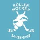 Roller Hockey Sassenage - Les Lionceaux